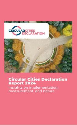 CCD Report 2024